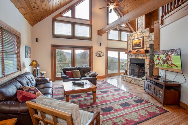 TV, fireplace, video games, DVD player