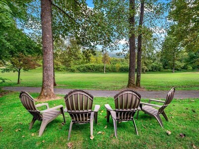 Blue Ridge View  Pet Friendly, Deck, Grill