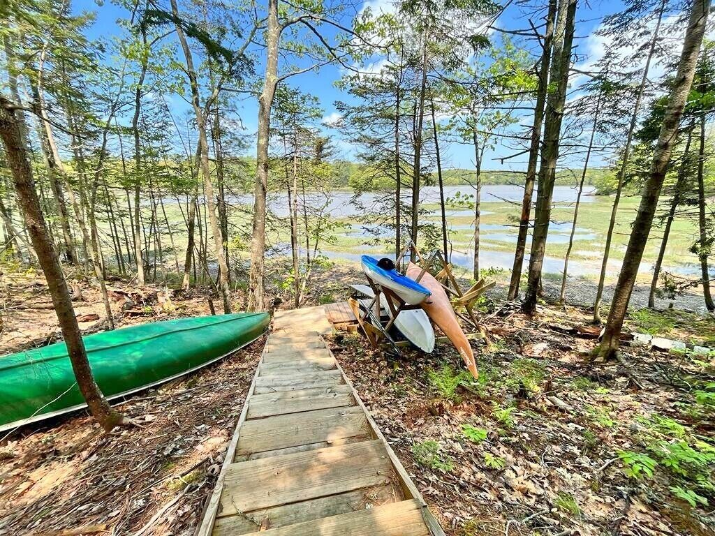 Un sendero de madera que conduce a un cuerpo de agua rodeado de árboles.