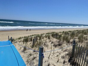 On the beach