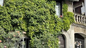 Een gebouw met een grote, klimop-bedekte muur, een traditioneel pannendak en een balkon met een smeedijzeren balustrade.