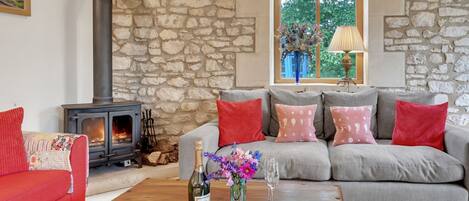 Televisión y chimenea