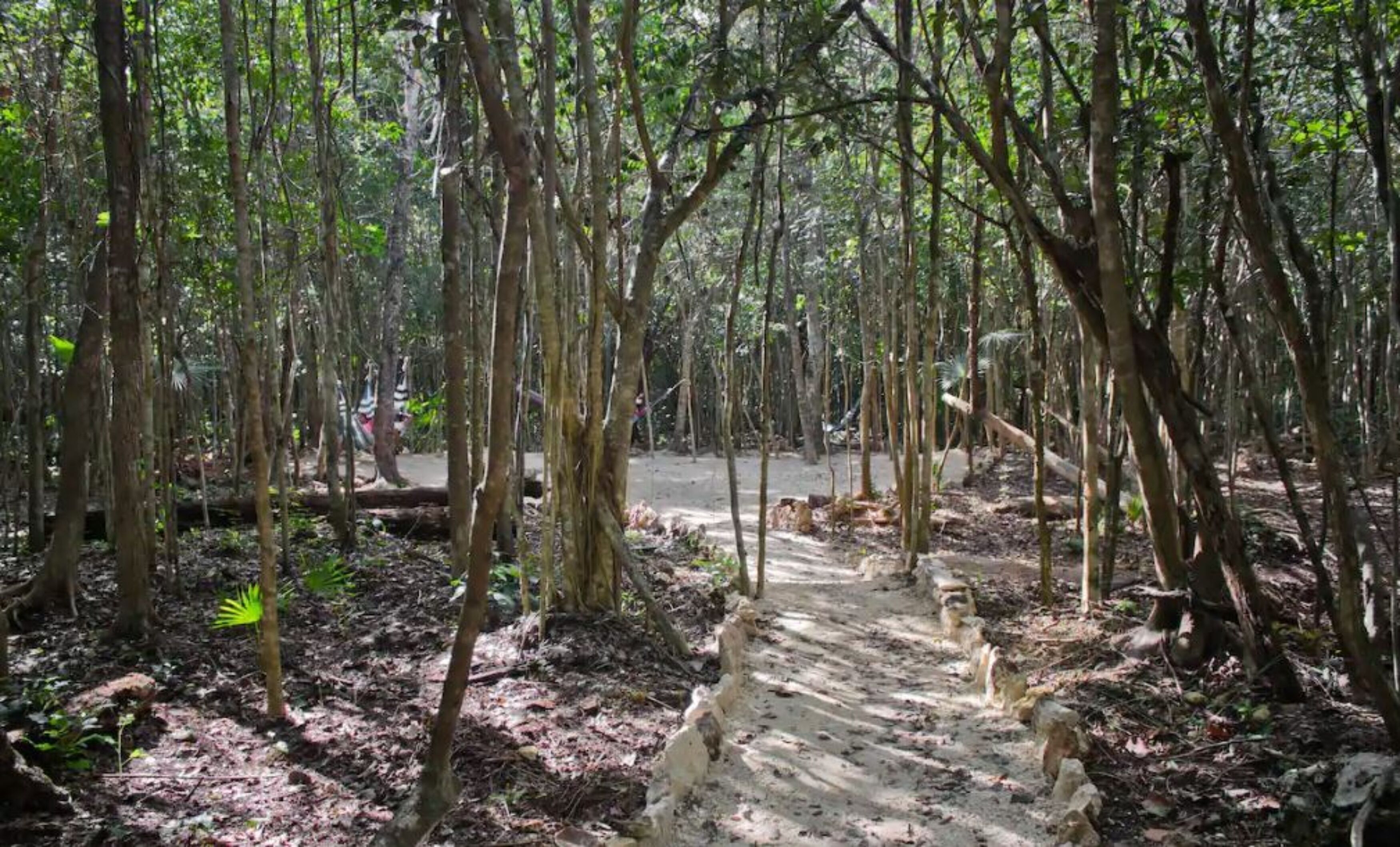 Foto - Aldea Maya-Ha Cabañas con cenotes