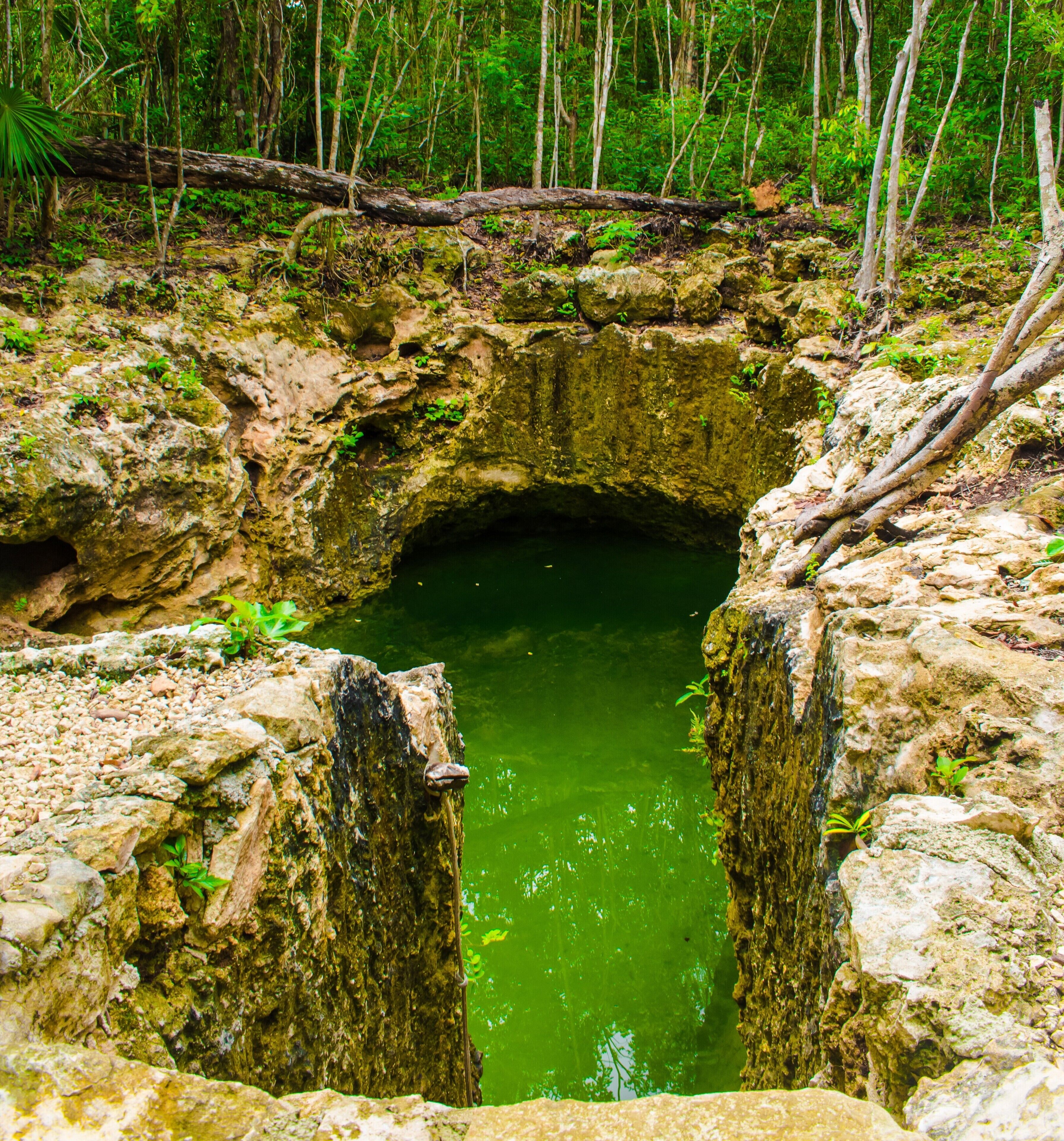 Photo - Aldea Maya-Ha Cabañas con cenotes