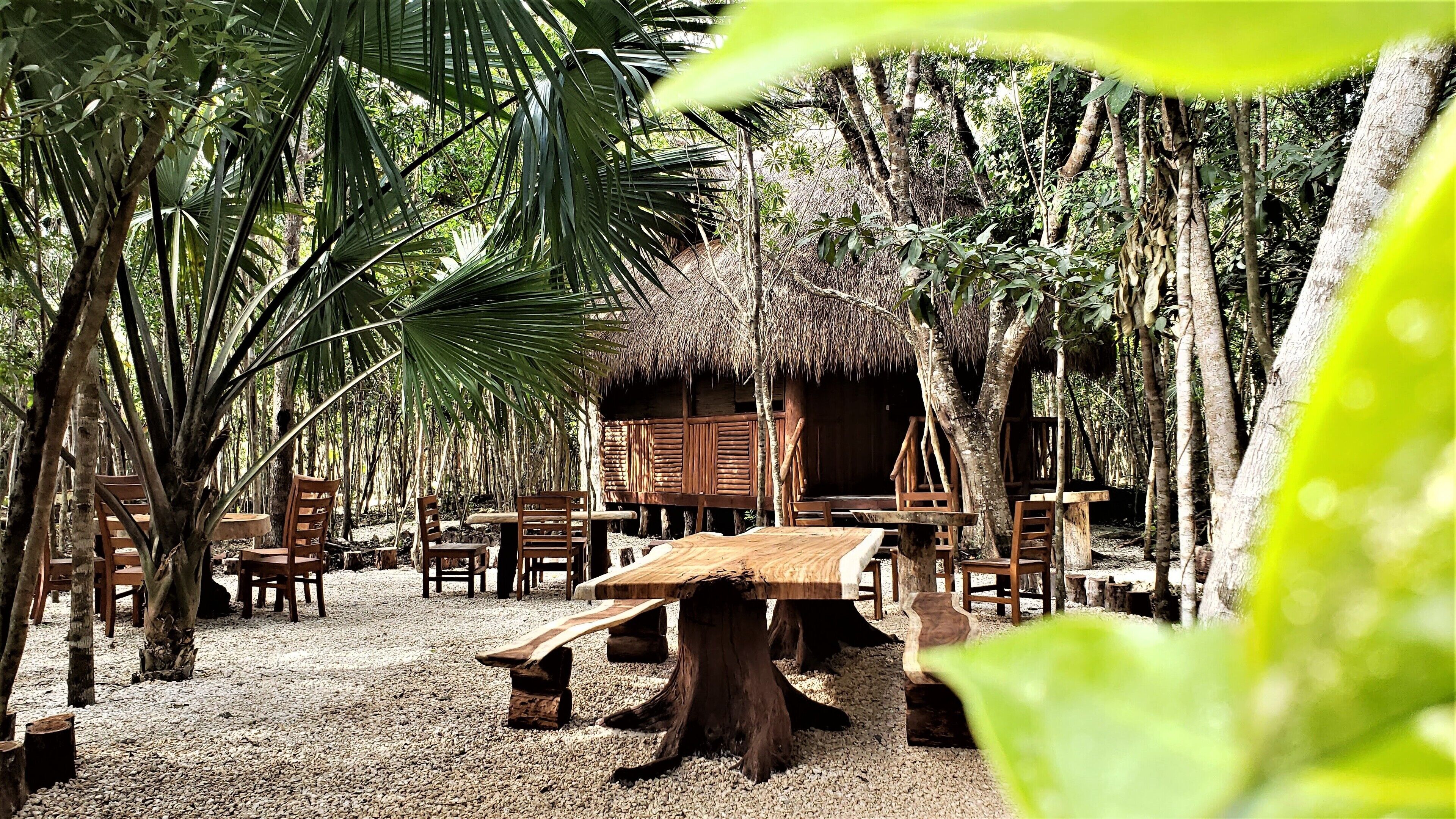 Photo - Aldea Maya-Ha Cabañas con cenotes