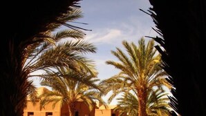 Unclassified image, 5 of 24, button - Chez Madani (M'Hamid El Ghizlane)
