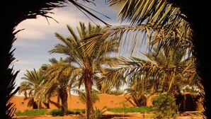 Unclassified image, 4 of 24, button - Chez Madani (M'Hamid El Ghizlane)