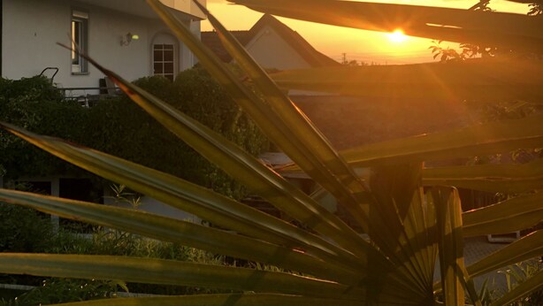 Une maison avec un toit en pente et une fenêtre bien visible, entourée de verdure.