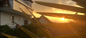 Vacation apartment for 4 people with balcony and view of the vineyards