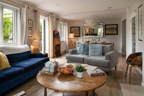 Smart TV, fireplace, DVD player, books