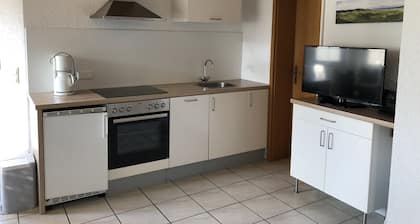 Apartment with terrace and view of the vineyards