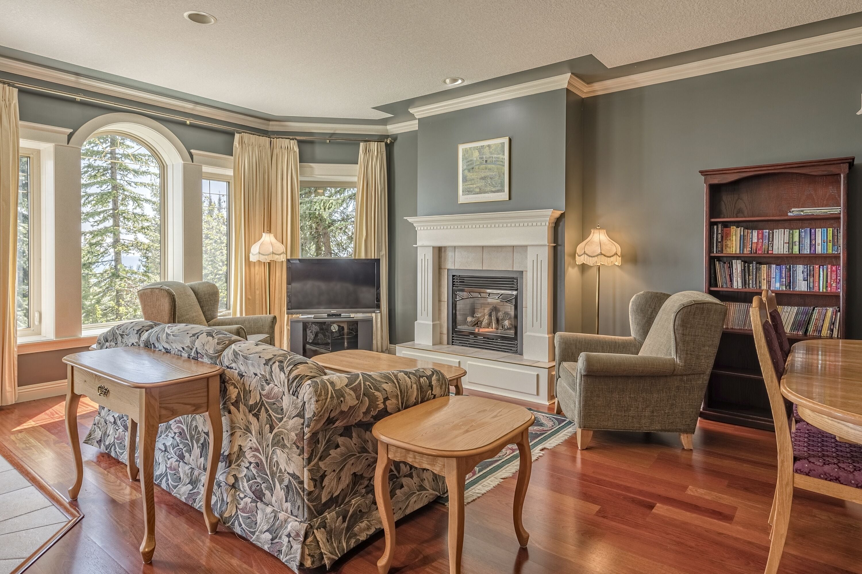 Televisión, chimenea, reproductor de DVD y estéreo 