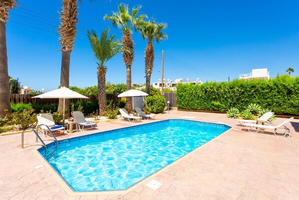 A swimming pool with lounge chairs and umbrellas, surrounded by palm trees and a hedge.