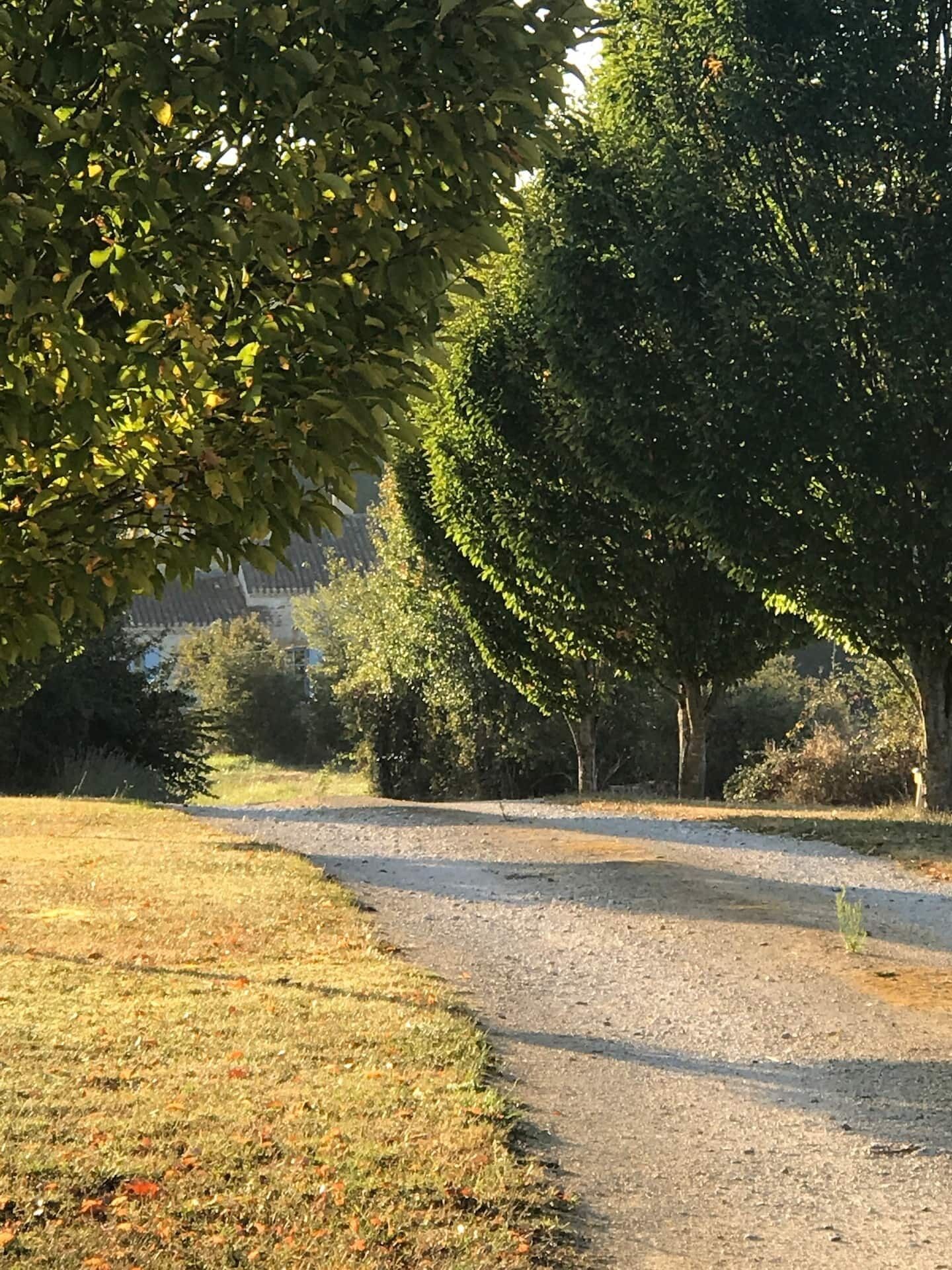 A gravel path in a park with trees and grass on either side.