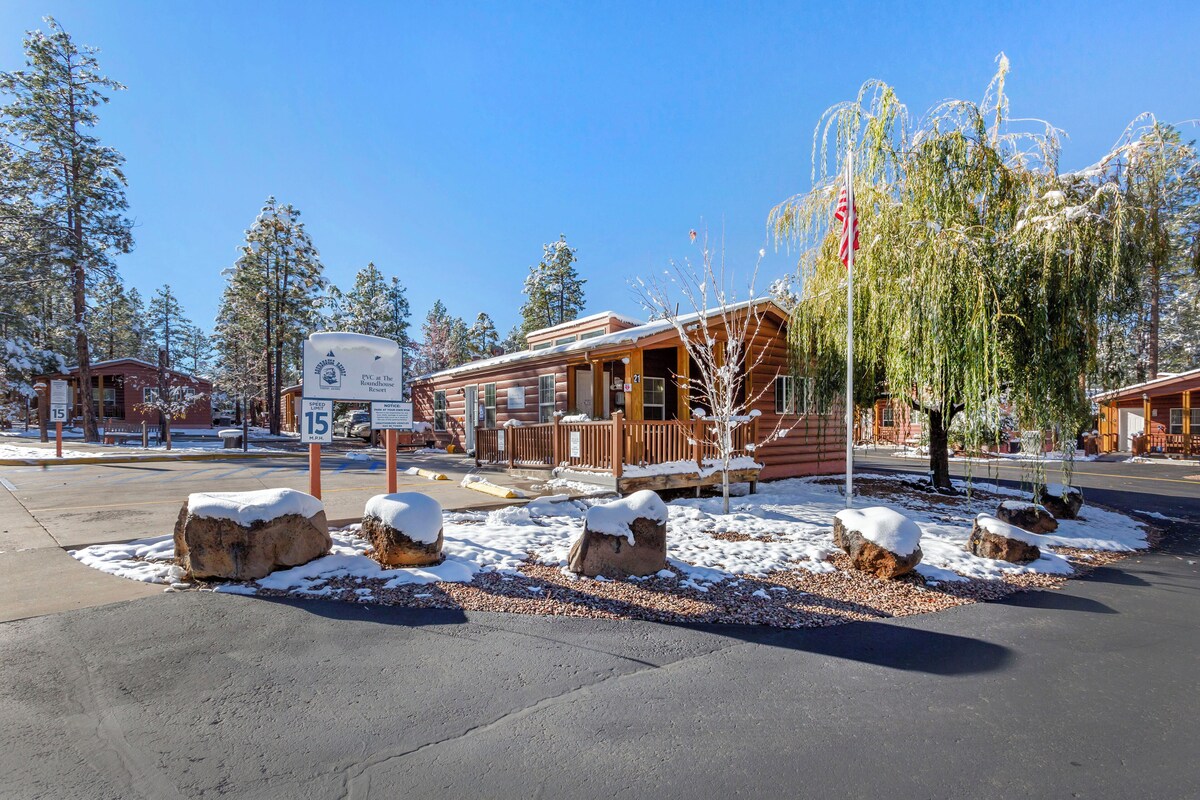 オーナーのプロフィール画像