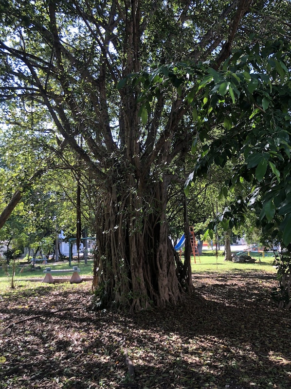 Property grounds