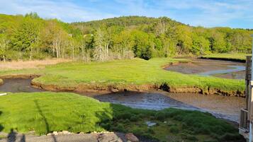 A grassy area with a small stream and a wooden deck.