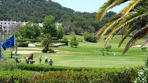 En golfbana med en flagga, palmer och ett bergigt landskap i bakgrunden.