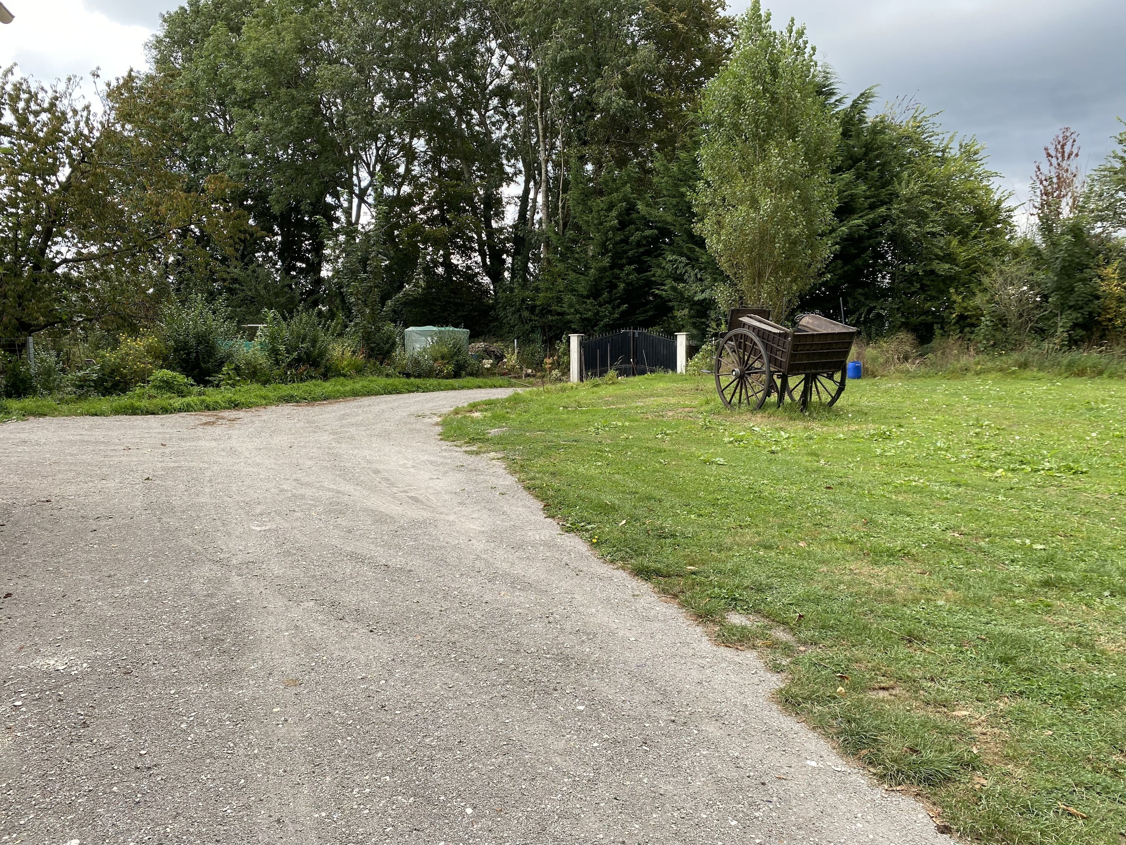 A gravel path leading to a wooden cart, surrounded by lush greenery and trees.