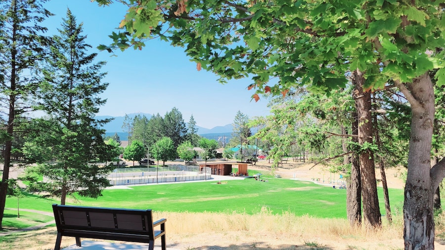 Mountain Springs Motel