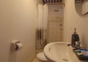 Shower, towels