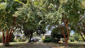Une allée menant à une maison dotée d’un porche abrité, entourée d’arbres et d’une pelouse bien entretenue.