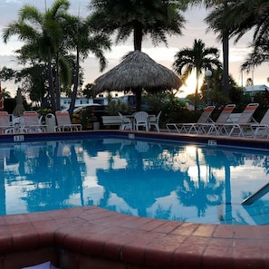 Una piscina con sillones de descanso y una sombrilla de paja, rodeada de palmeras.