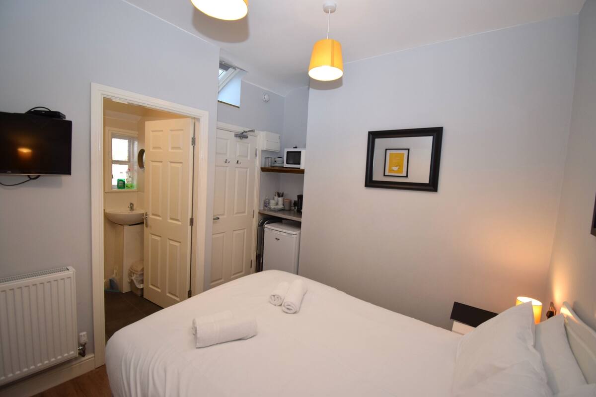 A hotel room with a bed, a television, a sink, and a microwave.