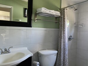 Chuveiro, secador de cabelo, toalhas de banho, shampoo
