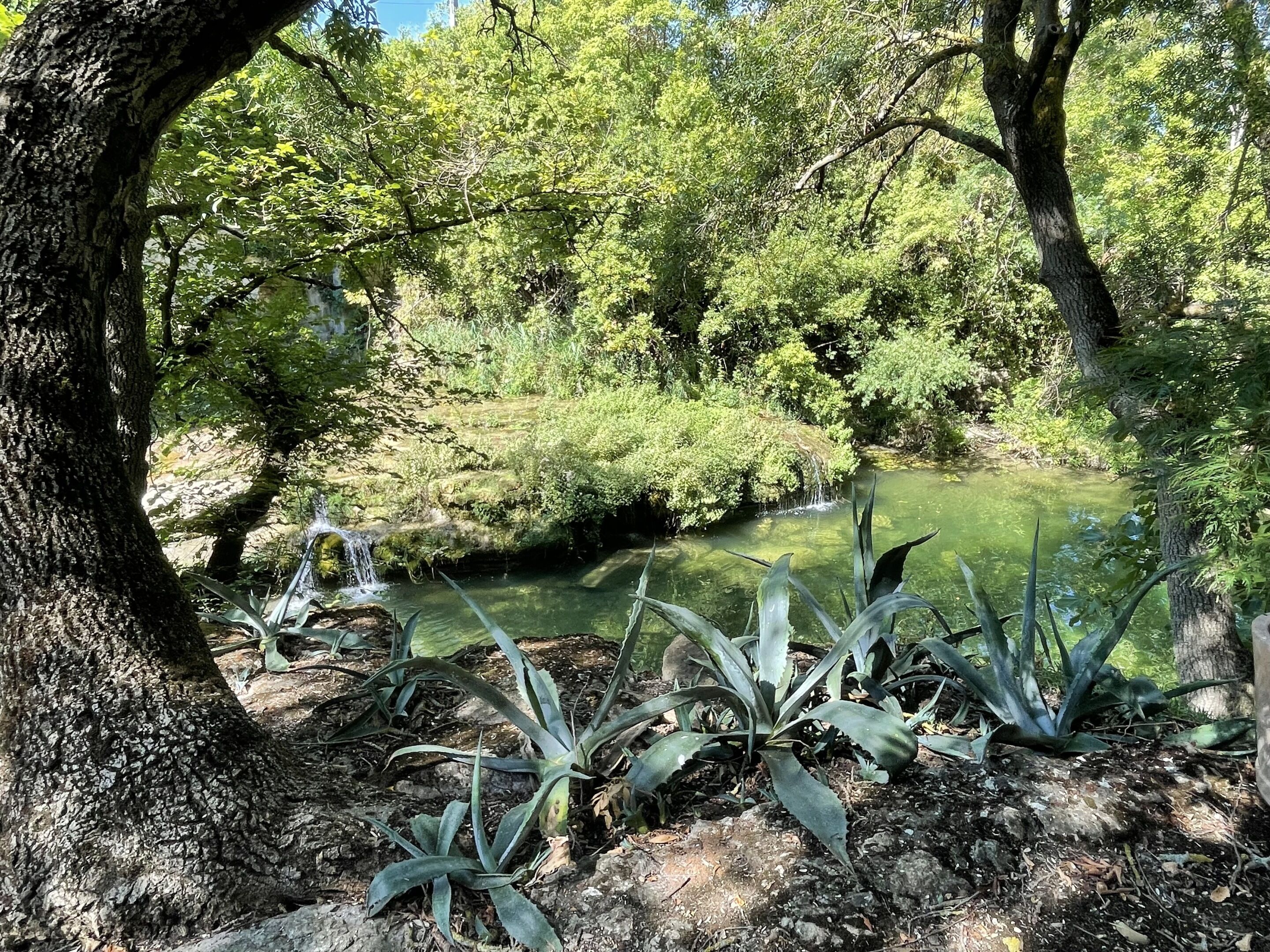 华丽村舍, 独立浴室 | 花园