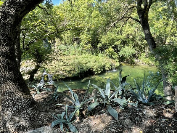 Stuga Deluxe - eget badrum | Trädgård