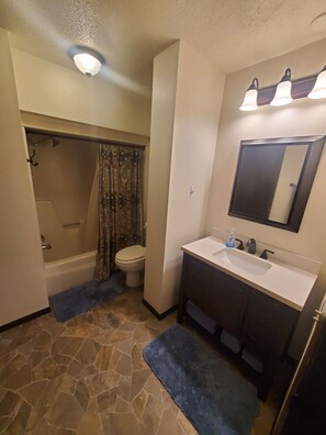 Combined shower/tub, hair dryer, towels
