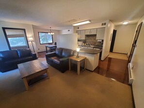 Smart TV, fireplace, video games, DVD player - Tomar Park Apt 1 - KP101APT1 (Sioux Falls)