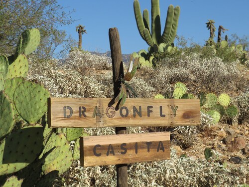 Privacy and views, with Saguaro National Park -East at the end of the street