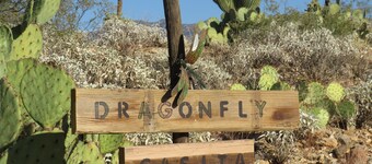 Privacy and views, with Saguaro National Park -East at the end of the street