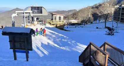 Always In Season Ski In/Out
Cozy getaway just steps away from Omas Meadow