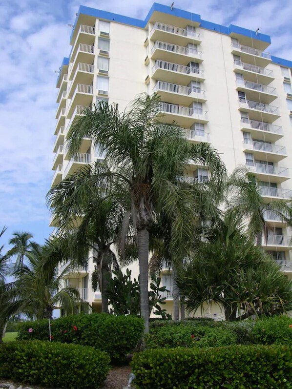 A multi-story hotel with balconies and a palm tree in the foreground.