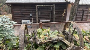 Een rustieke houten hut met een metalen dak, omgeven door weelderige begroeiing en een grote, verroeste metalen constructie op de voorgrond.