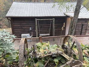 Property grounds - Rustic Ridge a cabin close to hiking and skiing! (Roan Mountain)