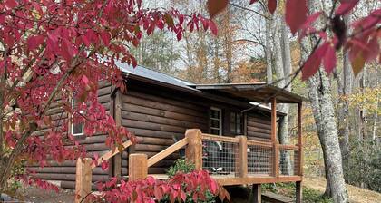 Rustic Ridge a tiny home close to hiking and skiing!