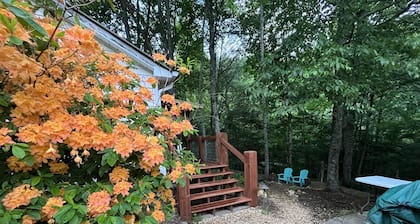 Rustic Ridge a tiny home close to hiking and skiing!
