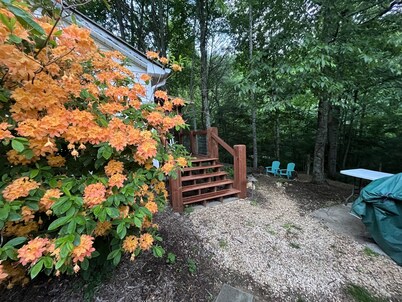 Rustic Ridge a tiny home close to hiking and skiing!
