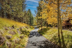 House, Multiple Beds (Ashwood - Unit 1) | Property grounds