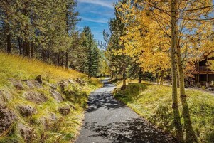 Condo, Multiple Beds (Abbot House - Unit 8) | Property grounds