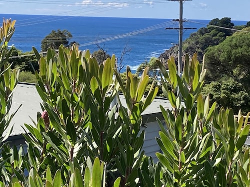 Calle Calle Bay Cottage. Self contained, close to everything.