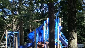 A playground with a blue slide and climbing structures, surrounded by trees. - Spacious home with private pool & game room. Sleeps 15. Close to Ocean City.  (Salisbury)