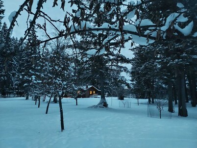 Swan Mntn View--Entire, Private Basement Suite, Close to GNP, Whitefish & Lake.