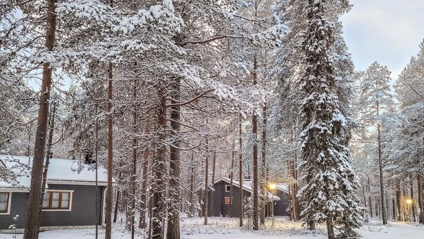 A snow-covered forest with a cabin and a house. - Purnukka by Interhome (Kuusamo)