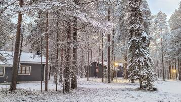 En stuga omgiven av snötäckta träd.