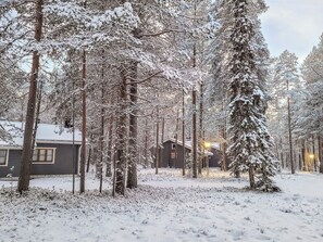 Uma cabana rodeada por árvores cobertas de neve.